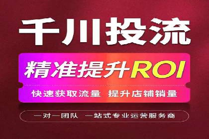 某电商平台的SEM广告投放策略及效果评估